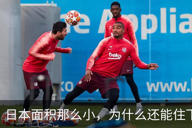 日本面积那么小，为什么还能住下1.23亿人，而且每家还都是独栋小别墅？